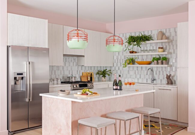 seaport-high-rise-kitchen-dane-austin-interior-design-boston-and-cambridge-img~c97154610cee7836_14-7784-1-9d98048